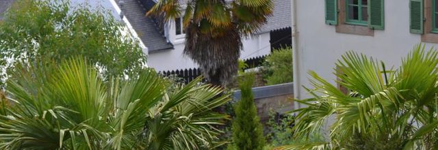 jardins   sur les hauteurs   ( 4)