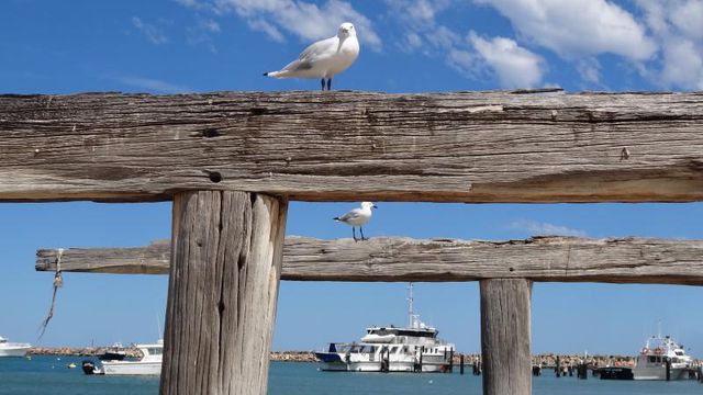 Une petite pause à Dongara