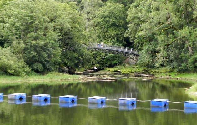 Le site du saut du Doubs