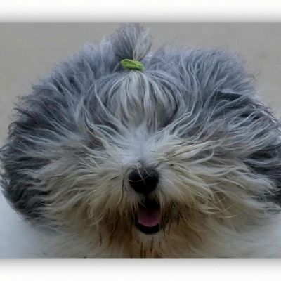 Jamais aussi heureux que dans le Sud le poilu