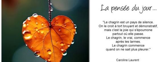 La pensée du jour (114)