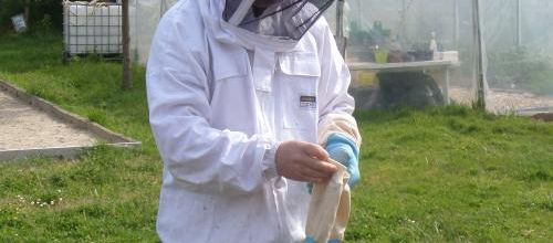 Visite chez les abeilles