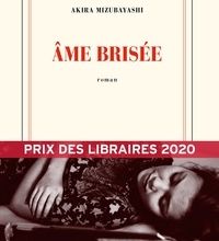 Download Pdf Âme brisée