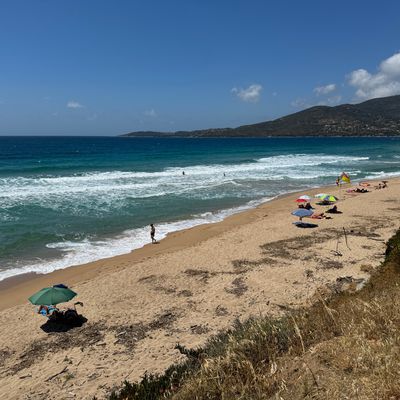 Le long des plages de Coggia - Corse