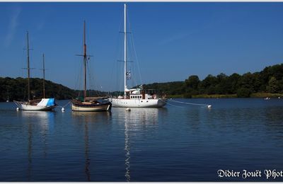 56 . Morbihan - La Roche-Bernard (2) - Port sur la Vilaine