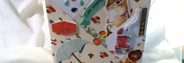 Pochette surprise sur la pluie .