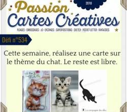 Passion cartes Créatives#534 !