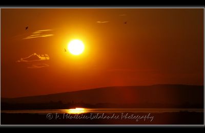 Coucher de soleil sur Carnon...
