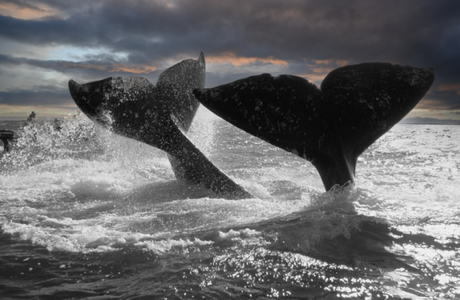 Nous tournons dans l'espace...