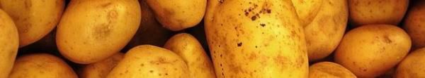 Recette vegan. Pommes de terre écrasées à l’aïoli aux avocats