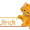 Chat, signature animee