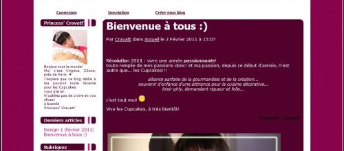 Design 1 (février 2011)