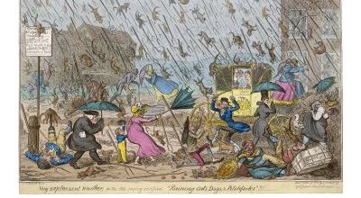 Intempéries animales :