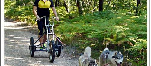 Un peu de sport (21 août 2015)
