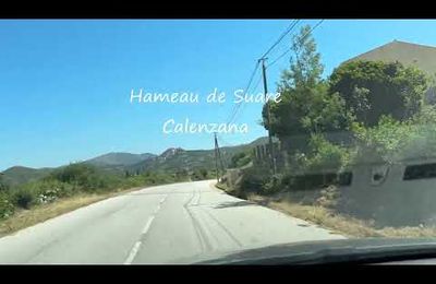 En route pour Calvi depuis Galéria - Corse