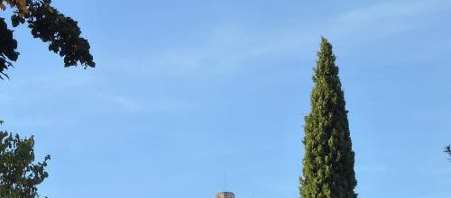 Balade dans ALBI.