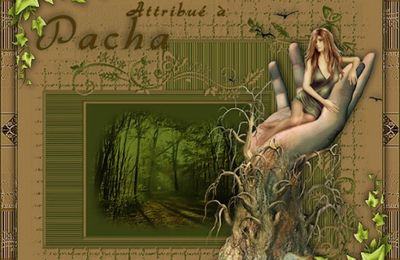 Duel tube imposé - août