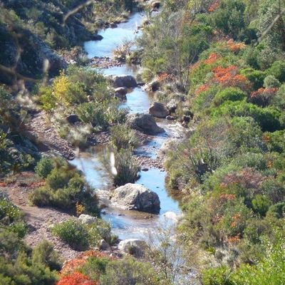 Le vrac'infos : supplément !