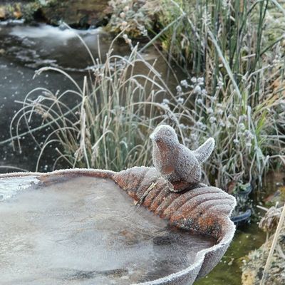 C'est toujours givré !