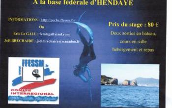 PECHE SOUS MARINE