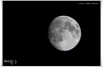Dame la Lune (nuit du 21 au 22 juillet 2013)
