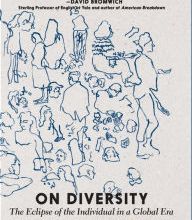 Download textbooks for free torrents On Diversity: The Eclipse of the Individual in a Global Era iBook in English 9781609809799