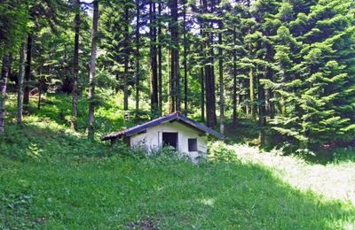La Forêt domaniale des Fanges depuis le col Saint-Louis (Caudiès-de-Fenouillèdes)