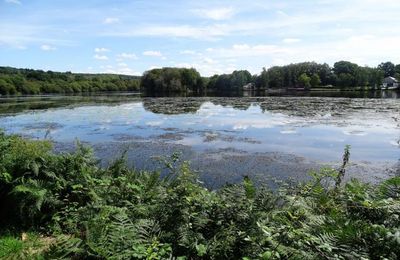 Depuis l'Etang de la Frêt - Marcher dans la forêt 