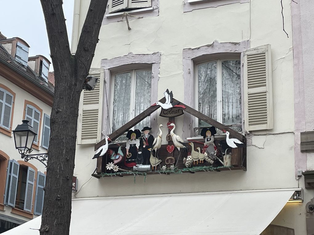 Mardi 18 février 2025
