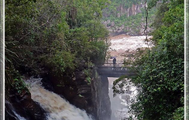 Une parmi tant d'autres ! - Chutes d'Iguazu - Puerto Iguazu - Argentine