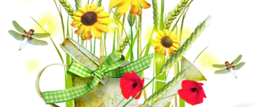 ✿*ﾟYellow flowers
