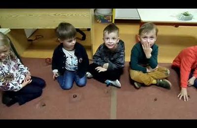 Observation et installation de son escargot