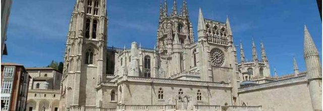 (J36) Rabé de las Calzadas / Burgos 10 mai 2012 (3)