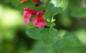 c'est jour de pluie !?