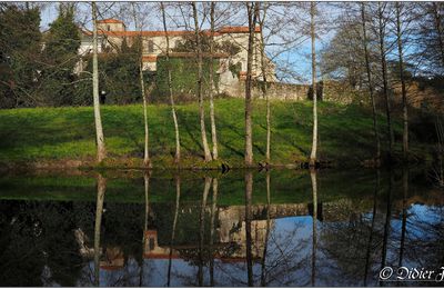Balade dans la Vallée Verte (1)
