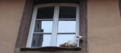  "j'y crois pas"...!