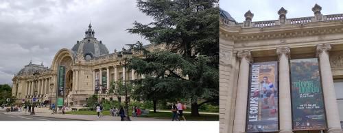 Visite du Petit Palais, Paris 08