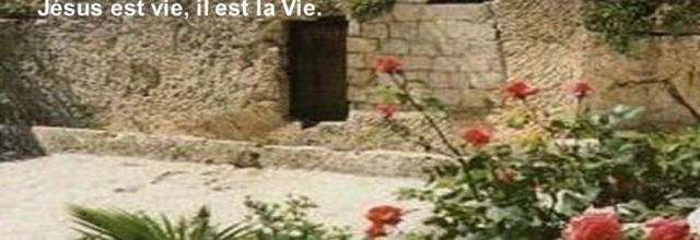 Homélie du 32ème dimanche du Temps ordinaire - 10 novembre 2019