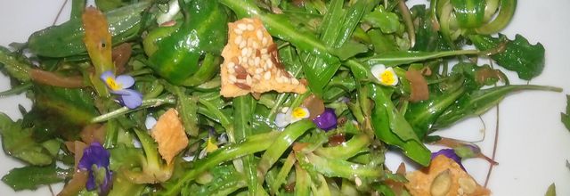 Salades sauvages 