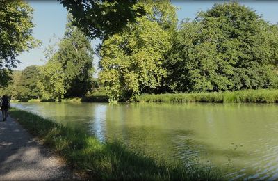 Saint Jacques 2015, de Moissac à Espalais: 19,5 Km