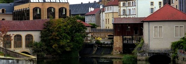 Metz / Le héron, les autres et la Moselle...