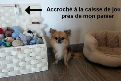 Friskies Elementia Ultrasonic