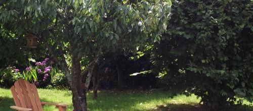 Le jardin de mes vacances...