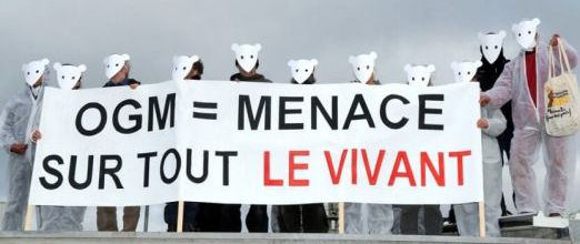 Les OGM pourraient stériliser l’humanité au bout de 3 générations