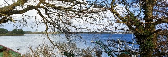 Entre deux giboulées de mars en décembre Balade à Baden golfe du Morbihan (1)