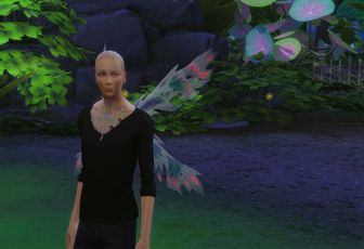 Il était un féétaud - 1ere partie