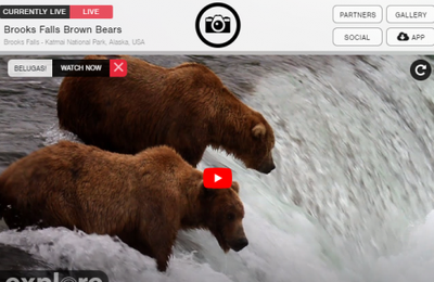 Explore.org