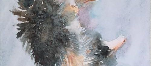 Mademoiselle le chat, aquarelle