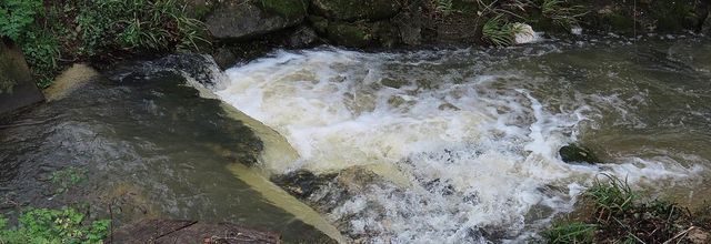 le lavoir de mon village (33)