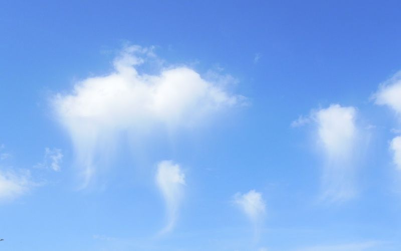 mes douceurs en nuages !